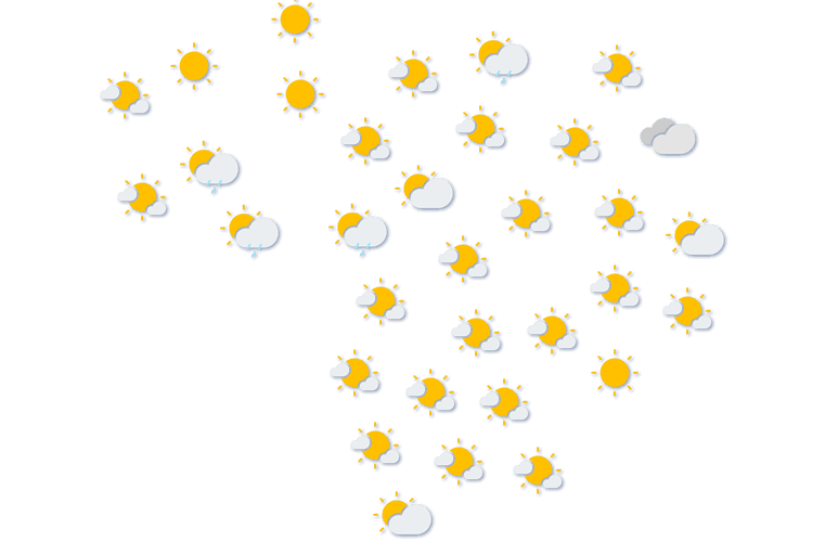 Forecast