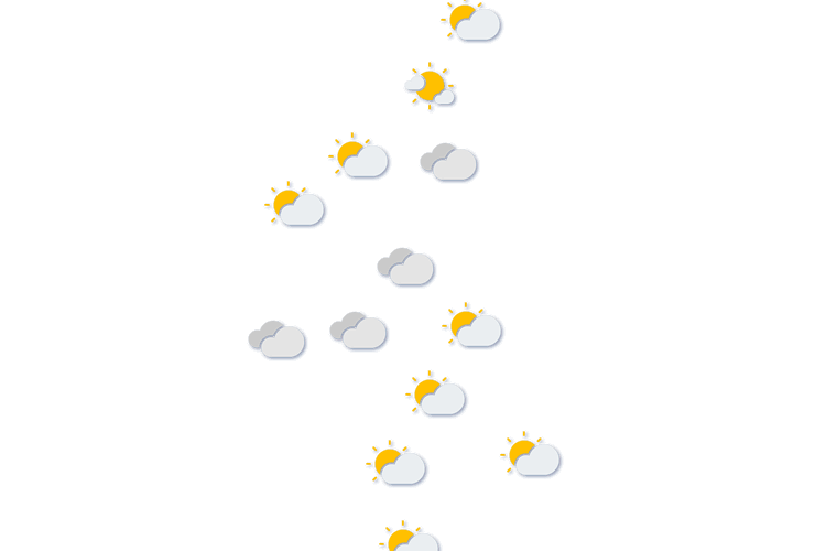 Forecast