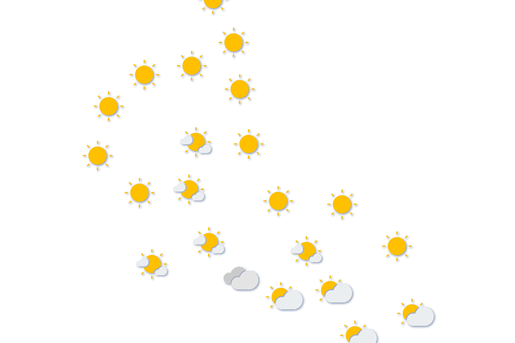 Forecast