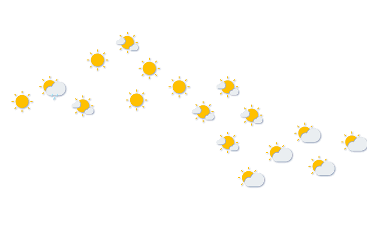 Forecast
