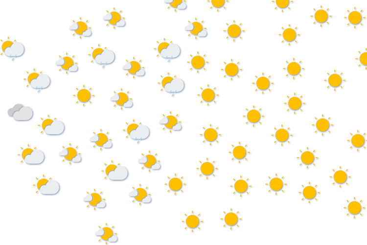 Forecast