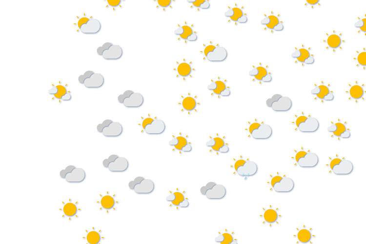 Forecast