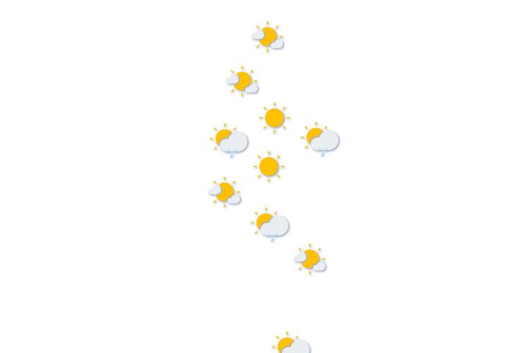 Forecast