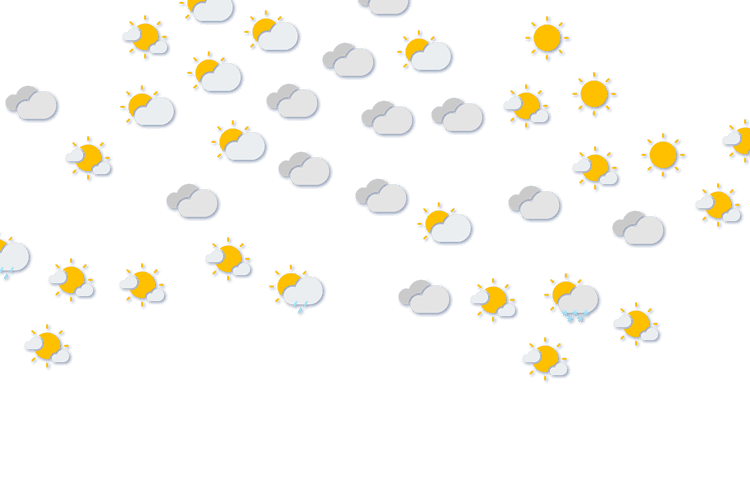 Forecast