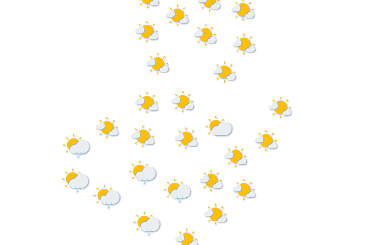 Forecast