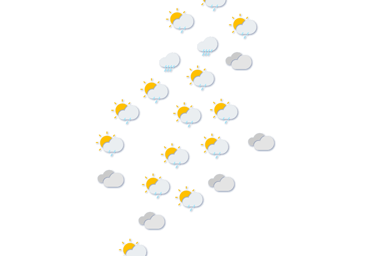 Forecast