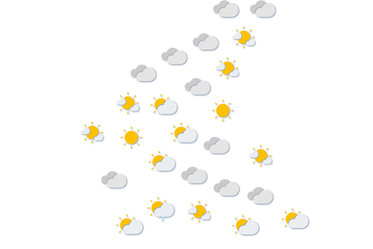 Forecast