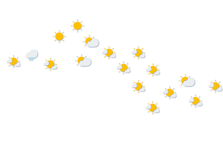 Forecast