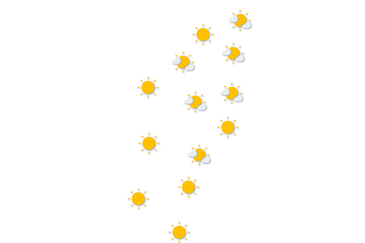 Forecast