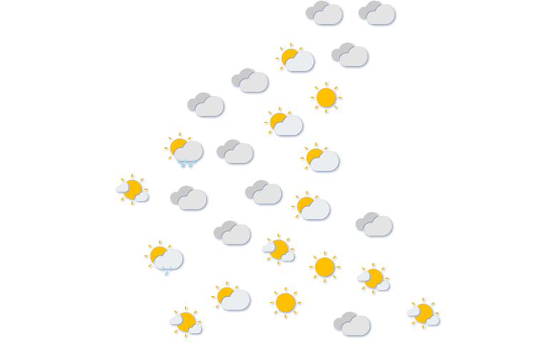 Forecast