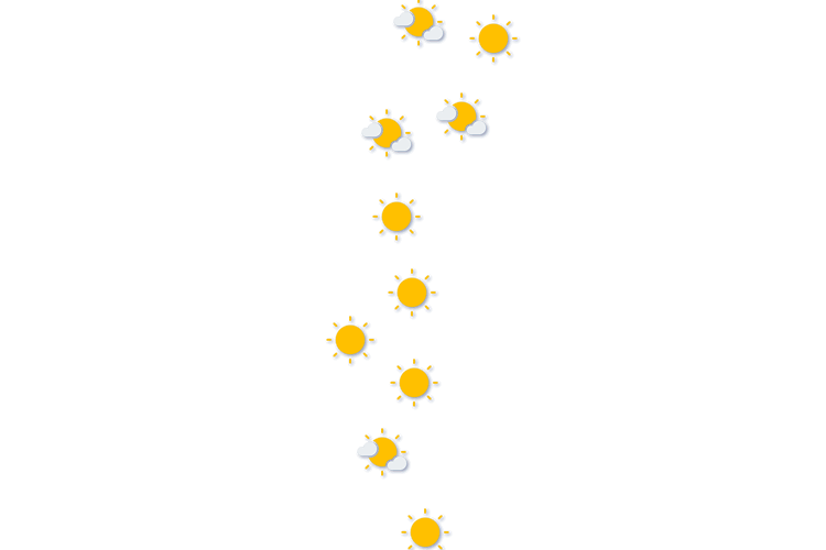 Forecast