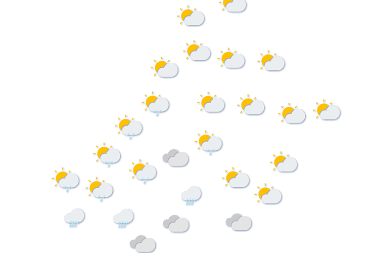 Forecast