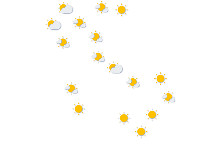 Forecast