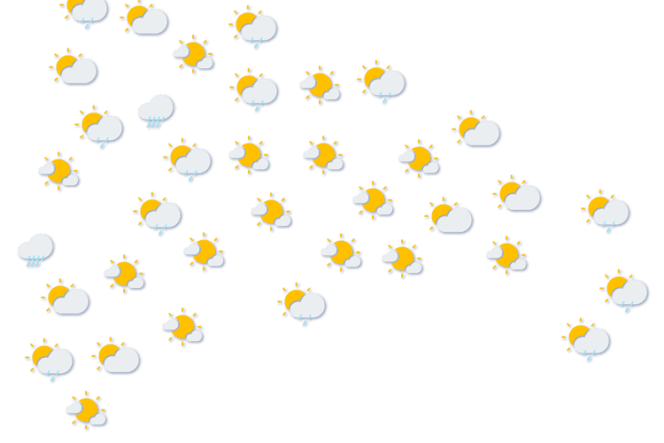 Forecast
