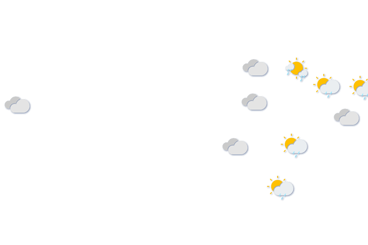 Forecast