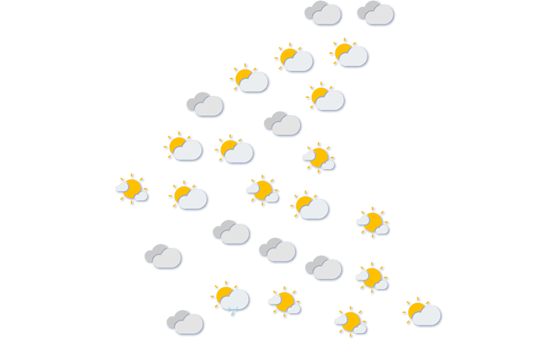 Forecast