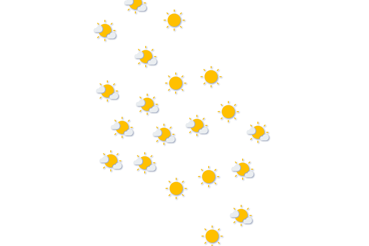 Forecast
