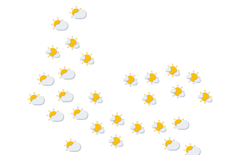 Forecast