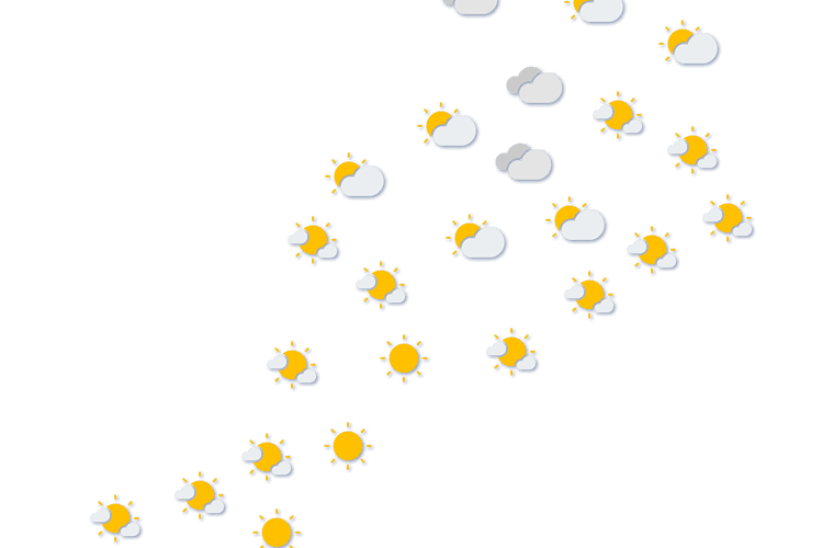 Forecast