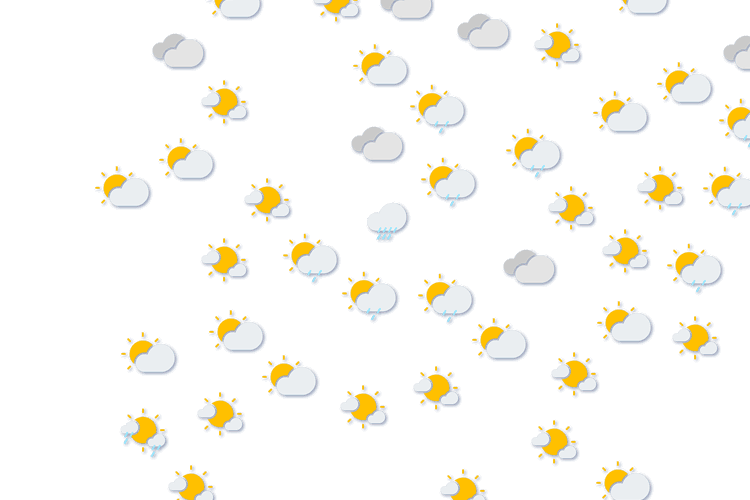 Forecast