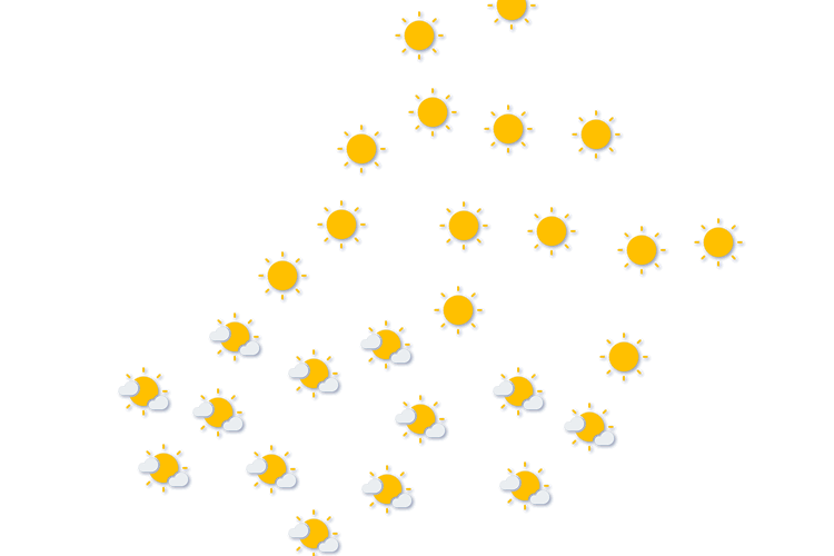 Forecast