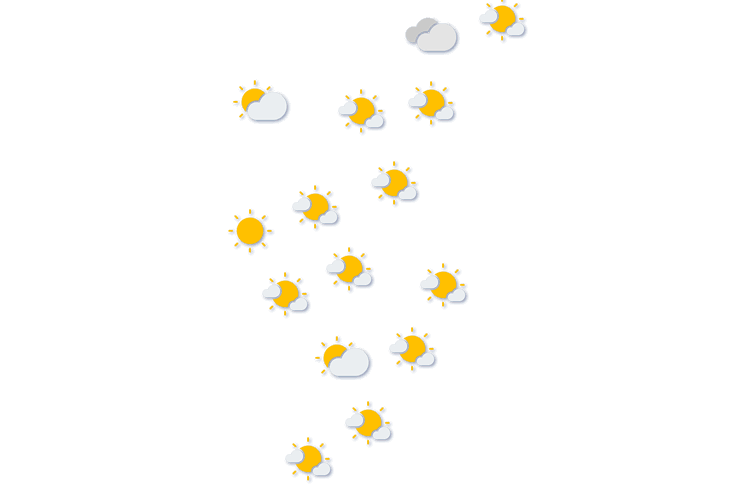 Forecast