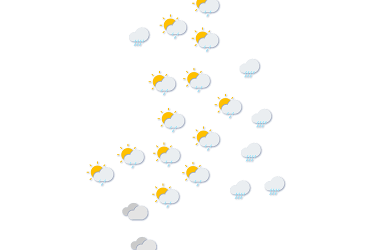 Forecast