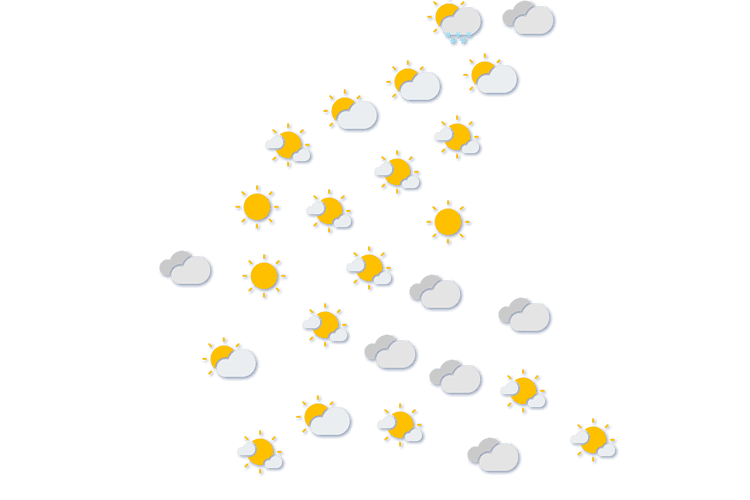 Forecast