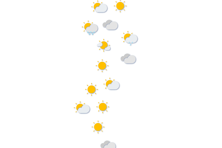 Forecast