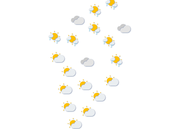 Forecast