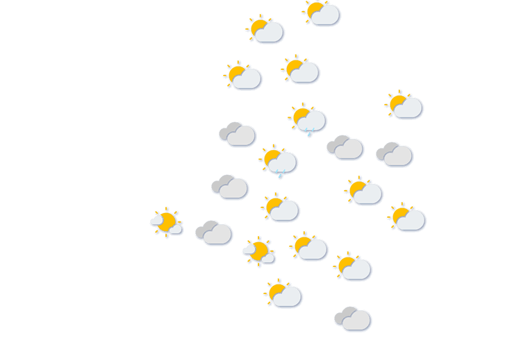 Forecast