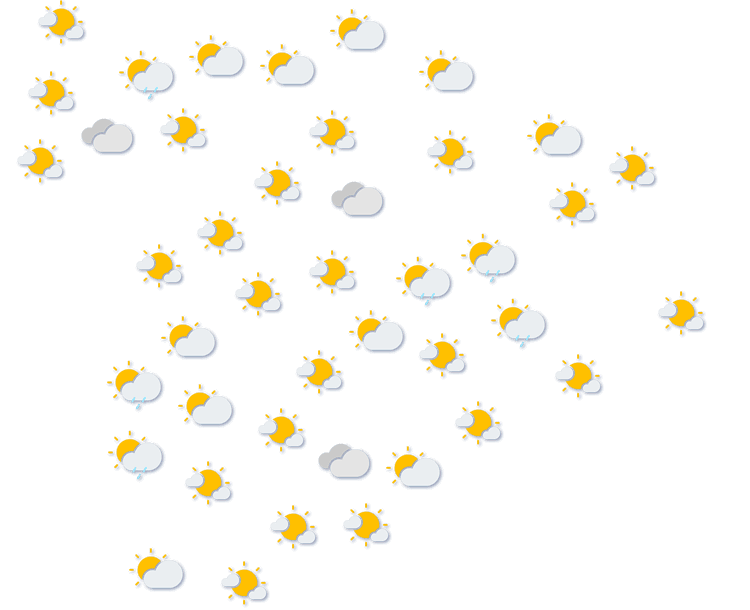 Forecast