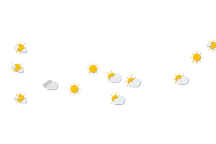 Forecast