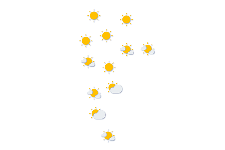 Forecast