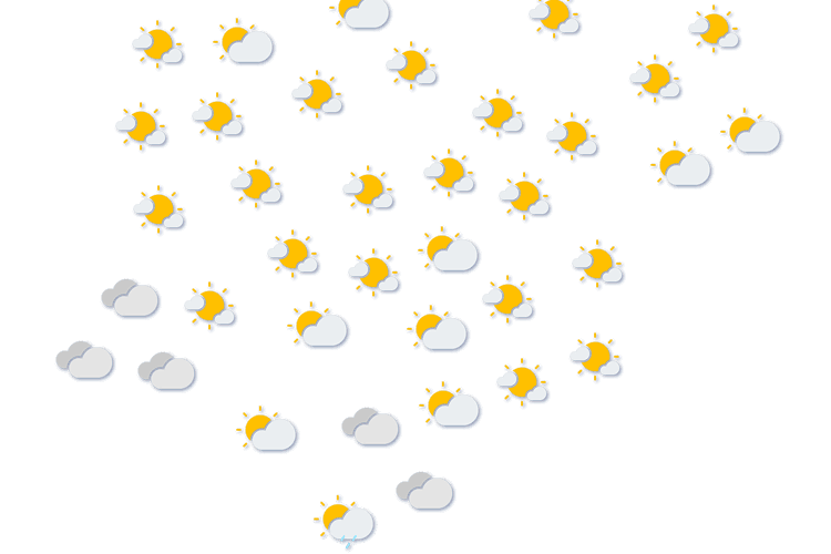 Forecast