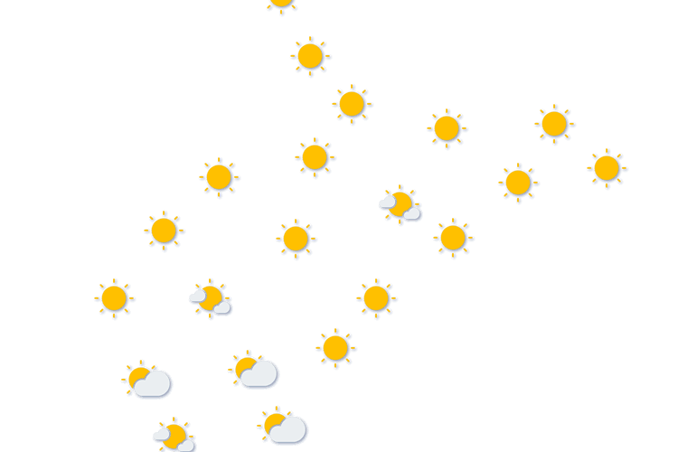 Forecast