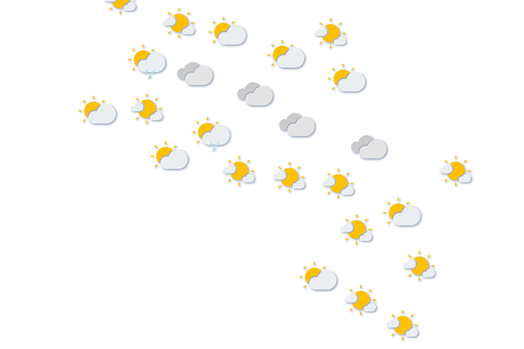 Forecast