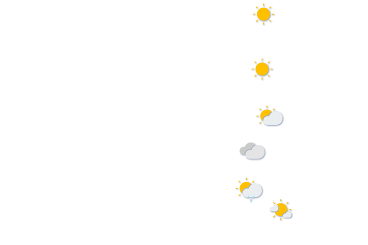 Forecast