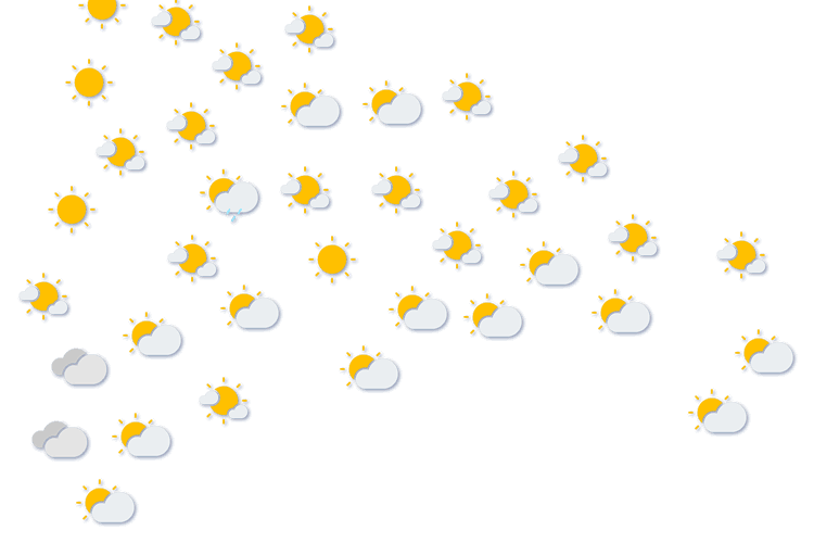 Forecast