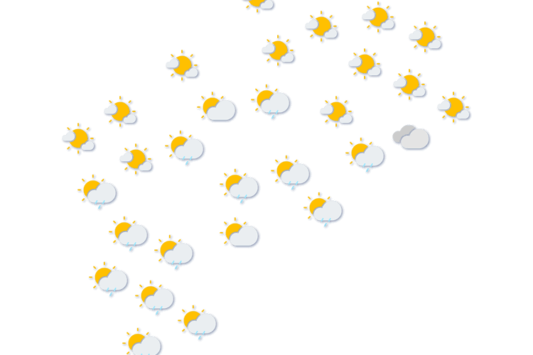 Forecast