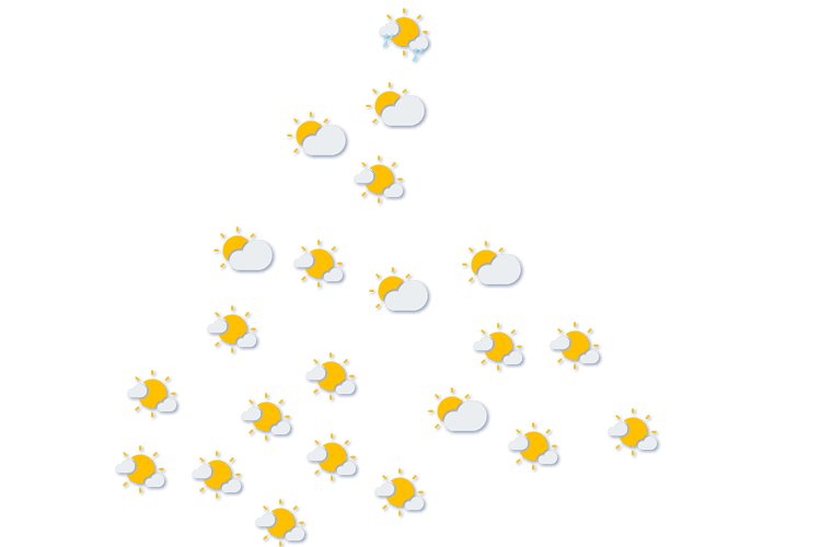 Forecast