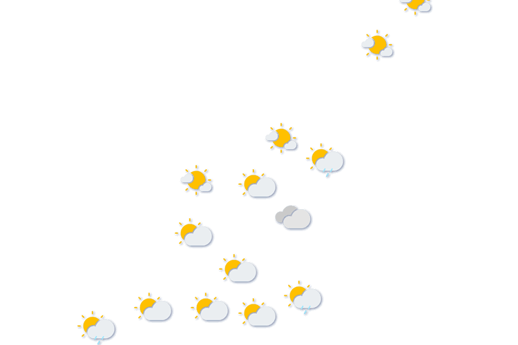 Forecast