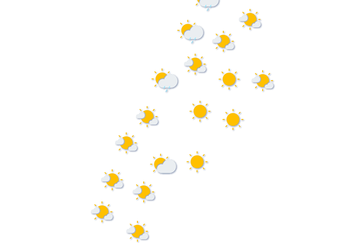 Forecast