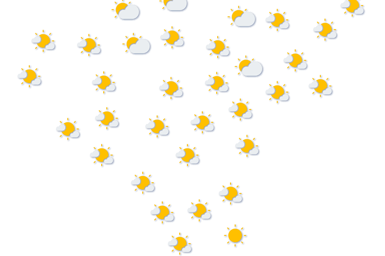 Forecast