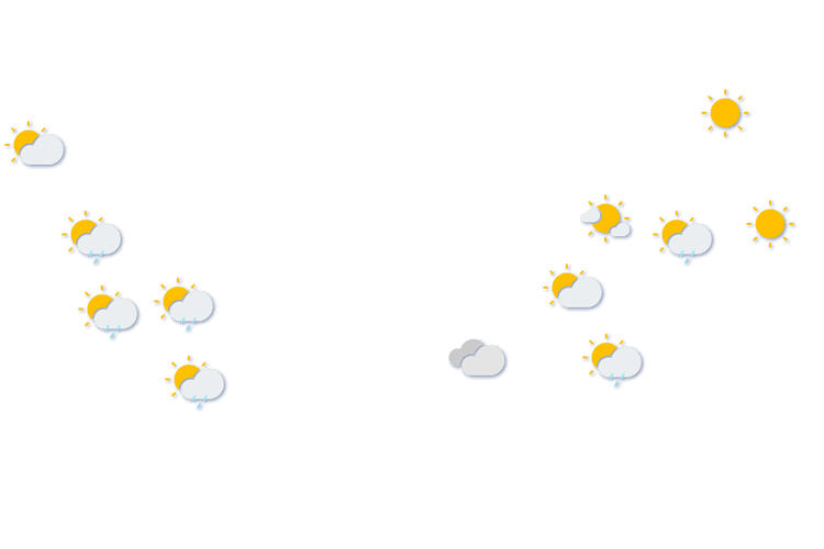 Forecast