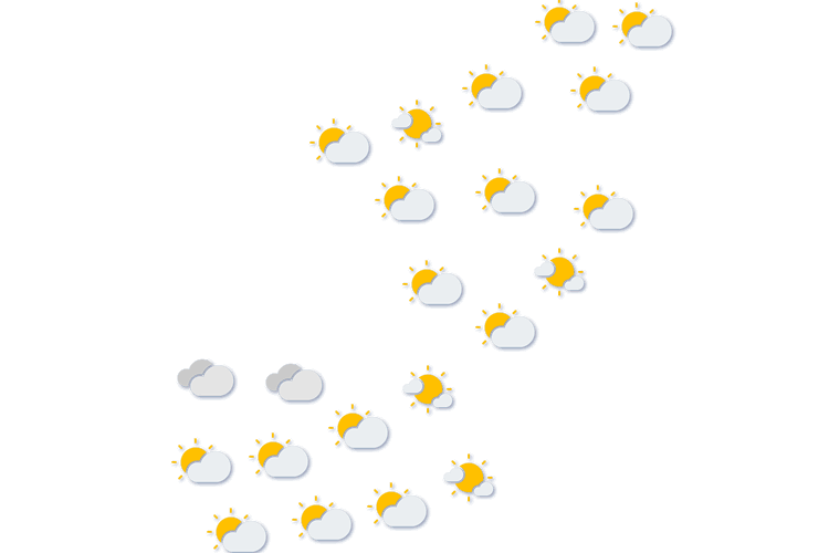 Forecast