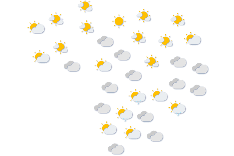 Forecast