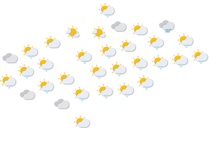 Forecast