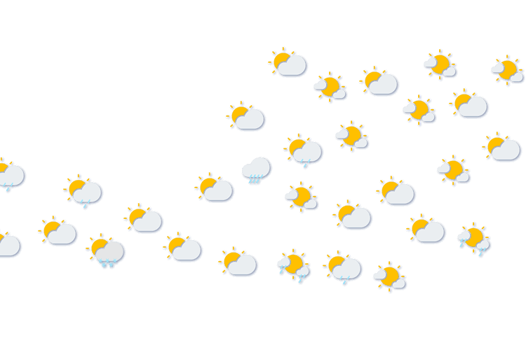Forecast