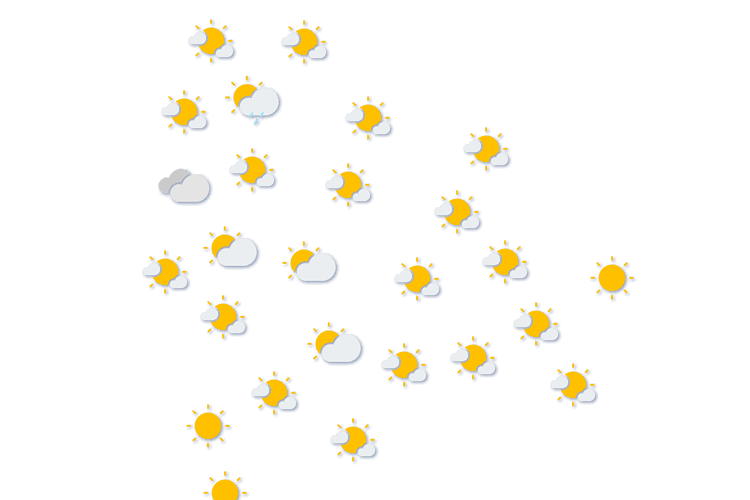 Forecast